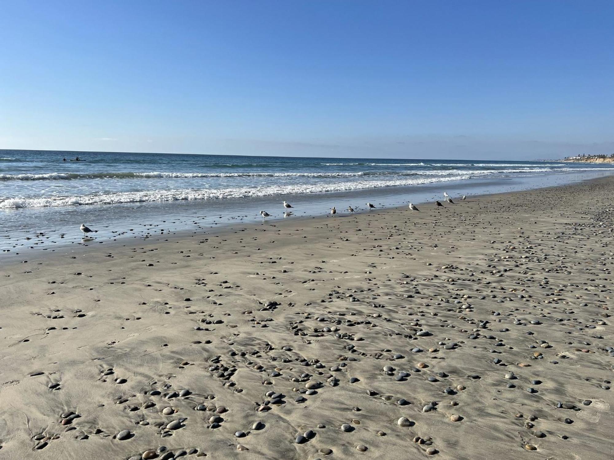 Holiday Inn Carlsbad/San Diego By Ihg Extérieur photo