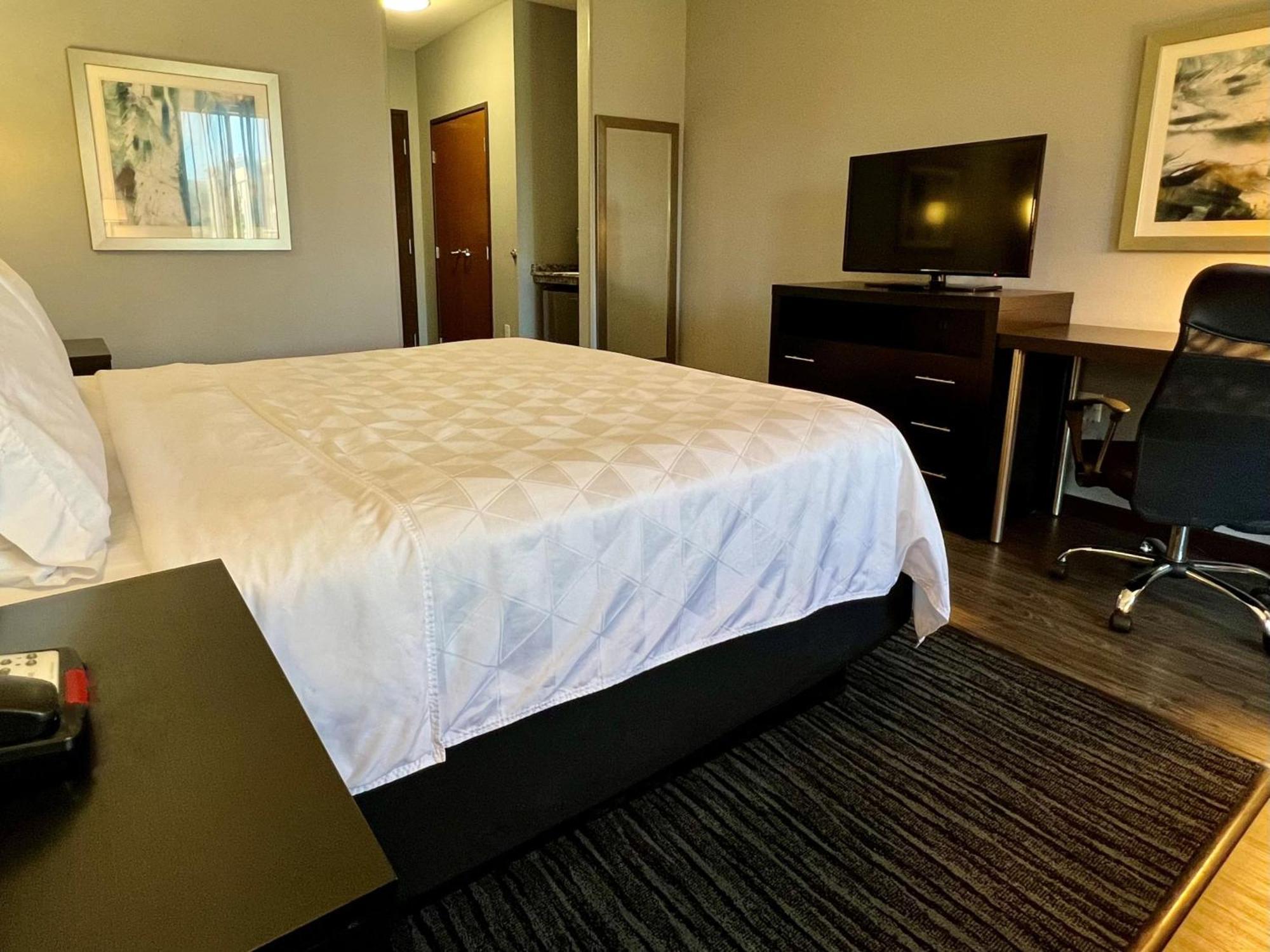 Holiday Inn Carlsbad/San Diego By Ihg Extérieur photo